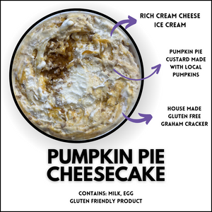 Pumpkin Pie Cheesecake (Gluten Friendly)