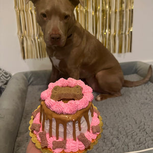 [Pre-Order] Custom 4" Puppy Cake